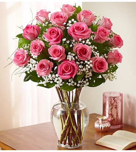 Pink Rose Perfection