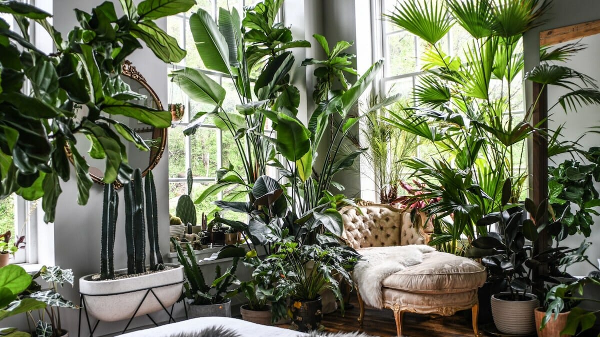 Comforting Green Arrangement