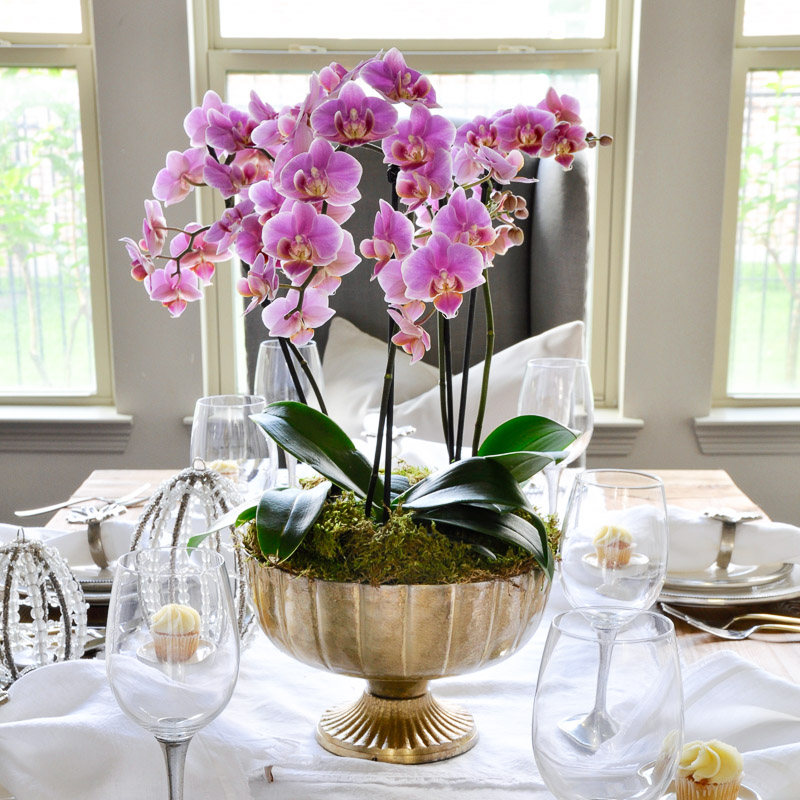 Pink Orchid Arrangement