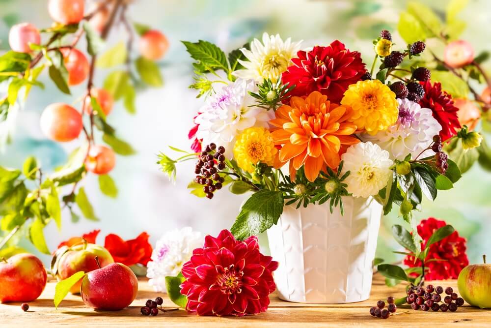 Fall Garden Collection