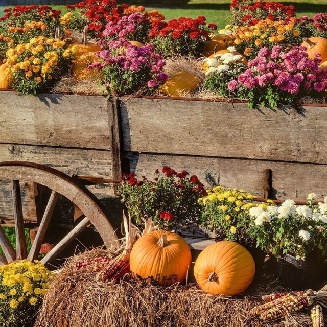 Harvest Wagon Display