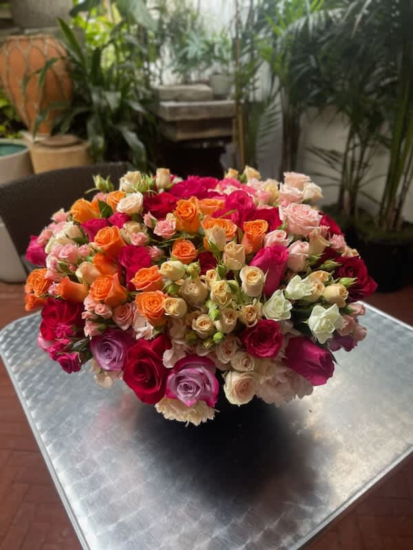 Rose Garden Collection